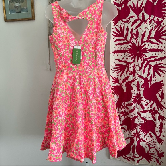 FIESTA PINK EVERYTHING NICE FREJA DRESS SZ 6 - Picture 4 of 7